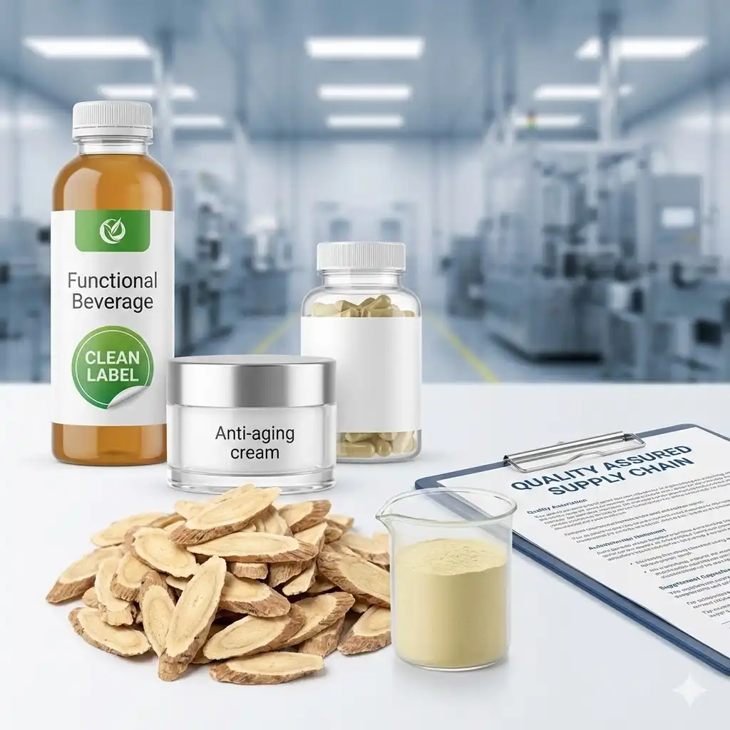 How Astragalus Extract Supports Immune Balance and Stress Reduction?